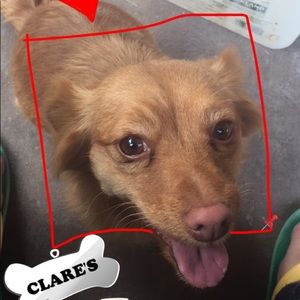 Meet your Posher, Clarisa